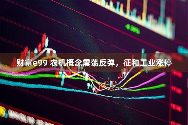 财富e99 农机概念震荡反弹，征和工业涨停