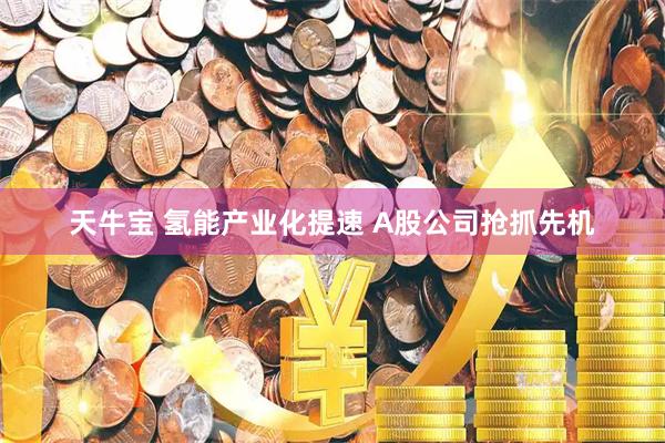 天牛宝 氢能产业化提速 A股公司抢抓先机